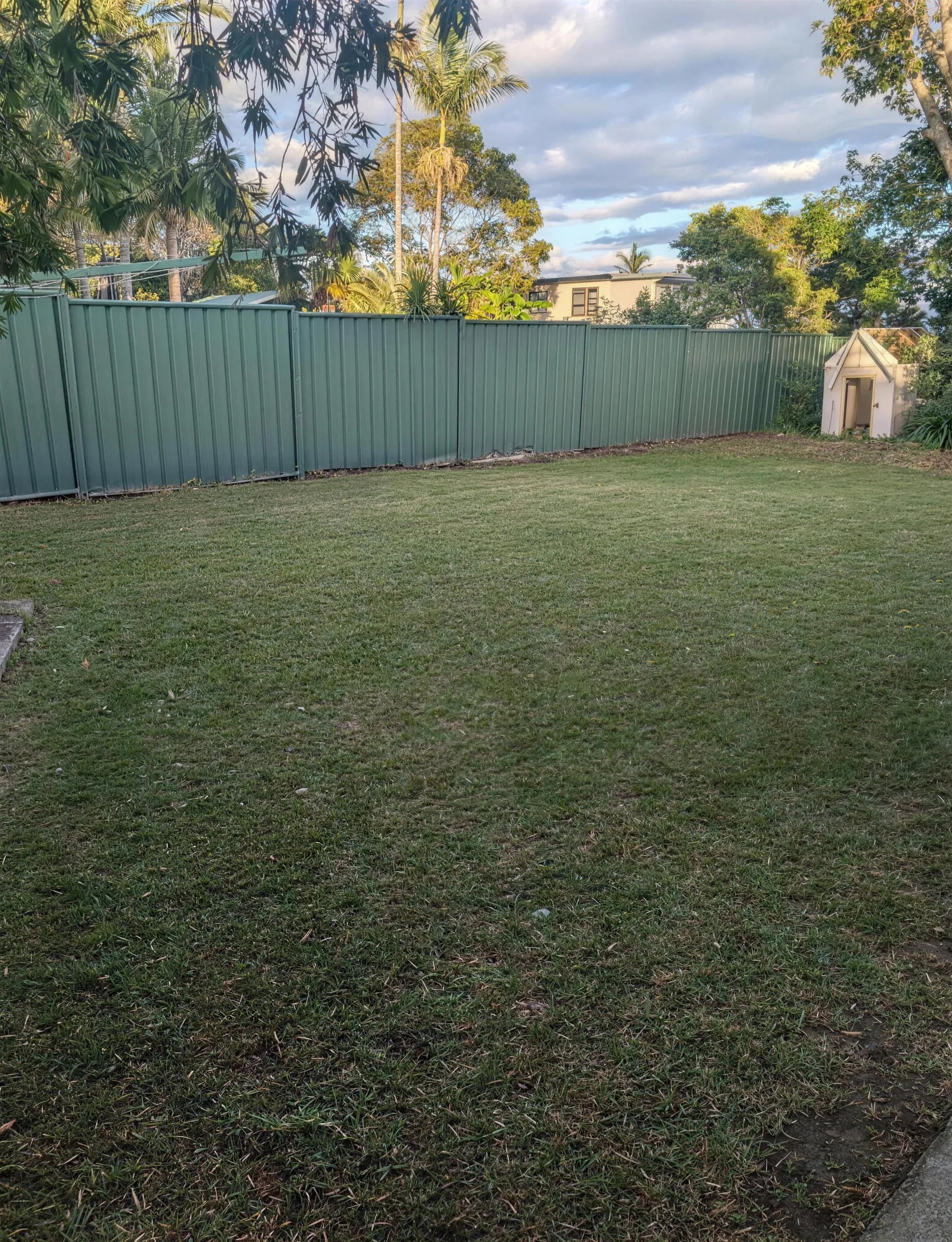A tidy mown lawn framed by a neatly trimmed golden hedge